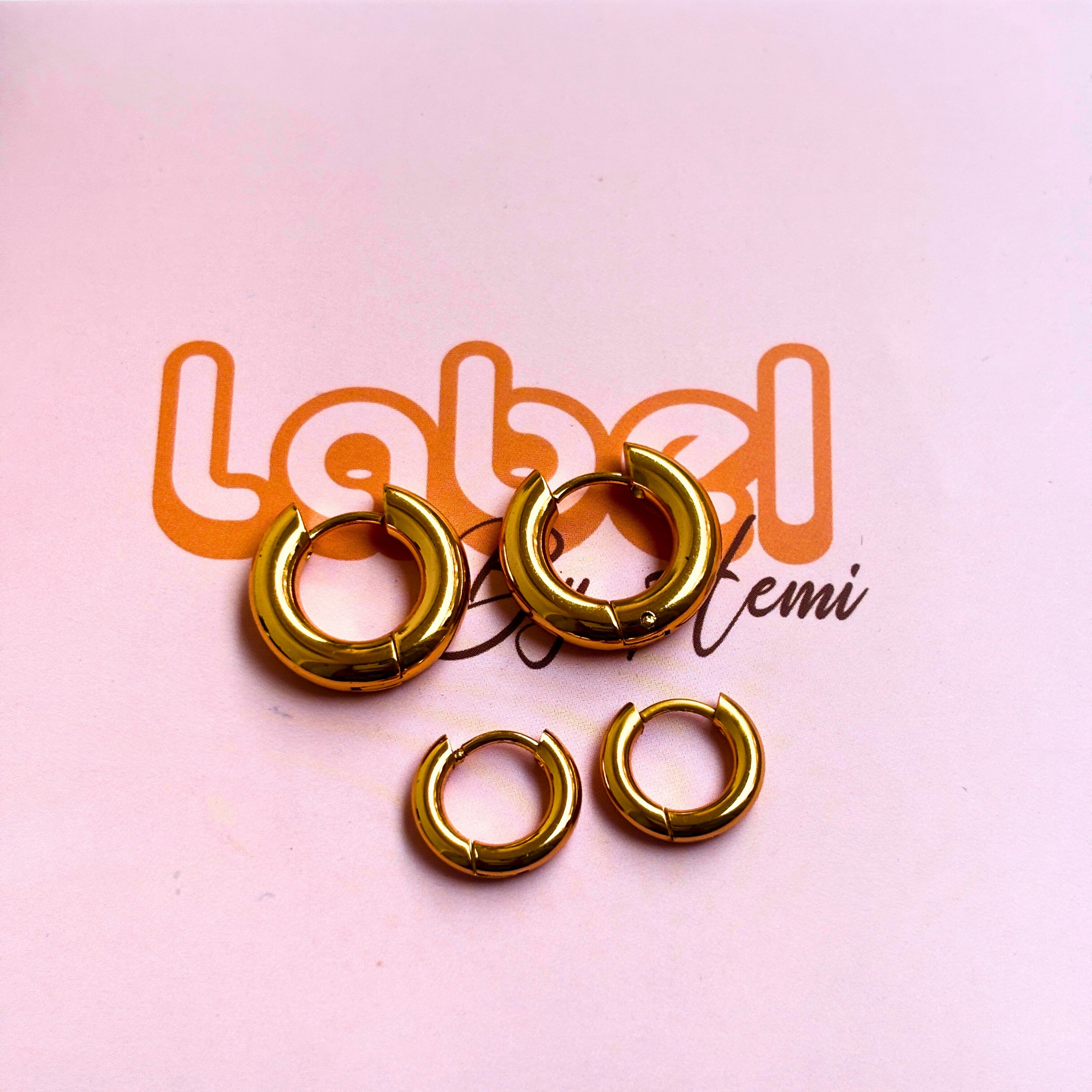 Everyday hoop Earrings set of 2