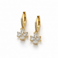 Bloomshine Crystal Hoops