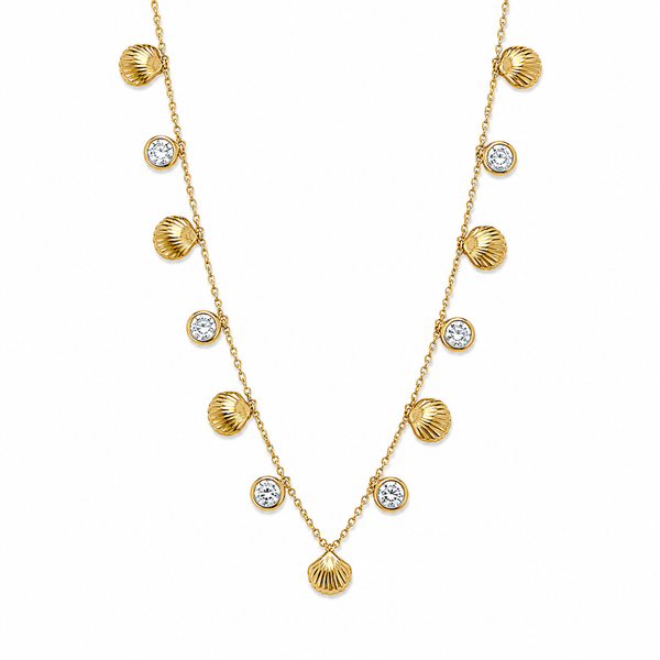 Sea shell Necklace