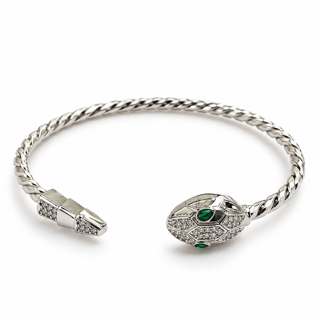 Snake Adjustable Bracelet