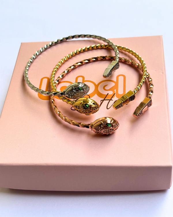 Snake Adjustable Bracelet