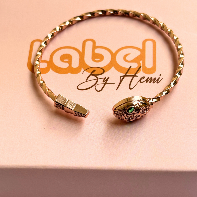 Snake Adjustable Bracelet