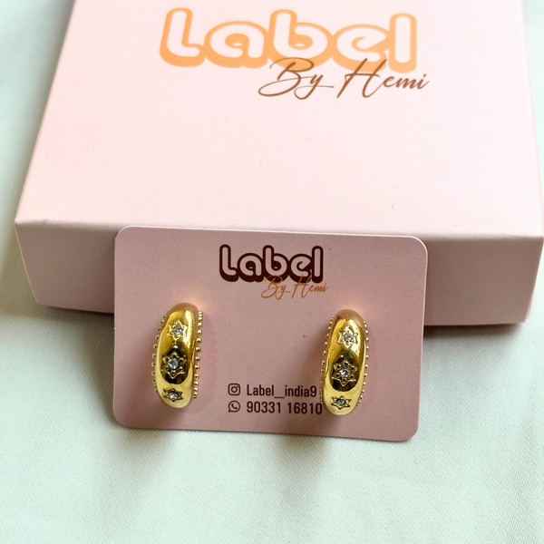 Star Stone Earrings