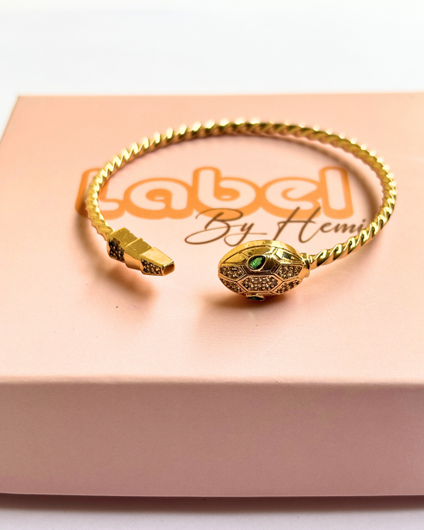 Snake Adjustable Bracelet
