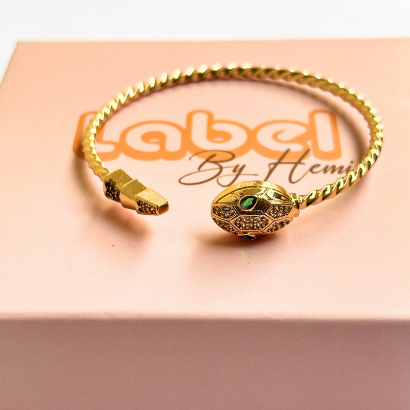 Snake Adjustable Bracelet